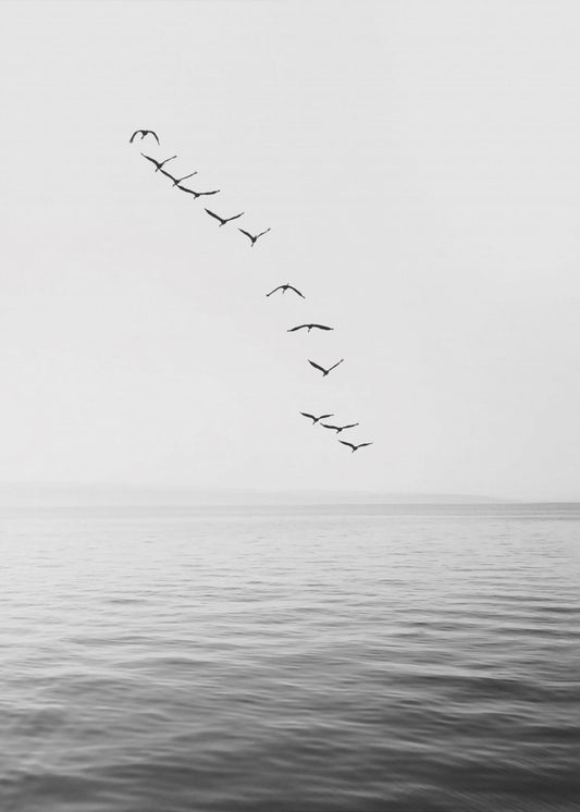 Vliegende vogels | Canvas