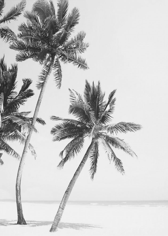 Eiland | Canvas