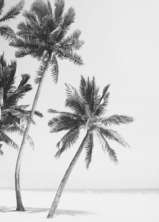Eiland | Canvas