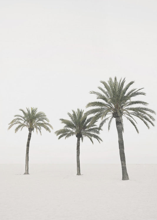 Palmen | Canvas