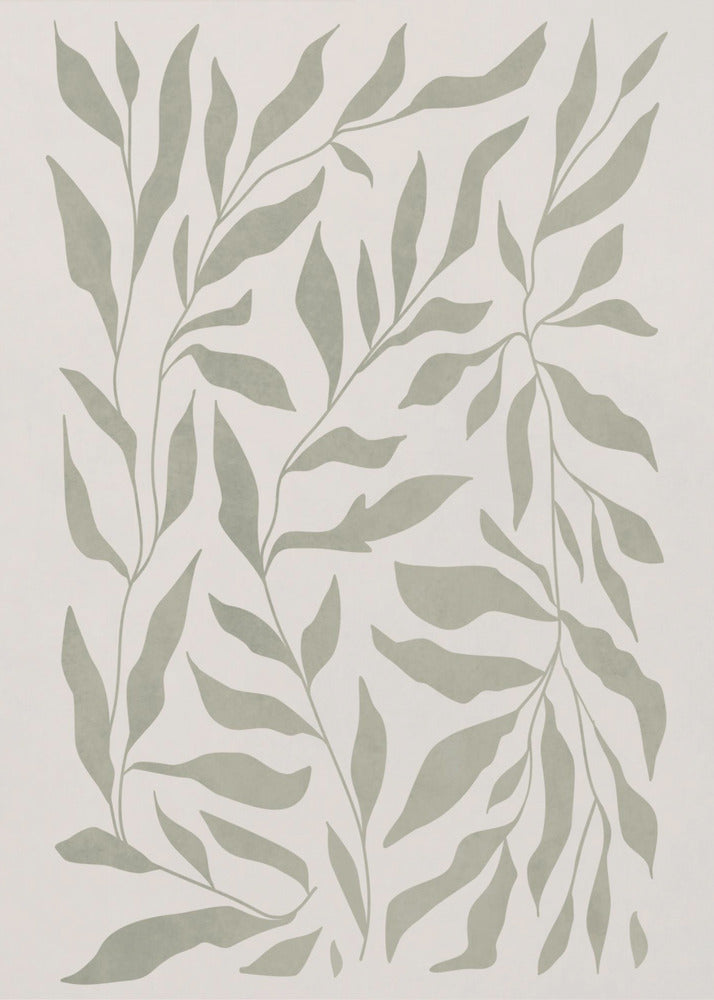 Olijfgroene bladeren | Poster