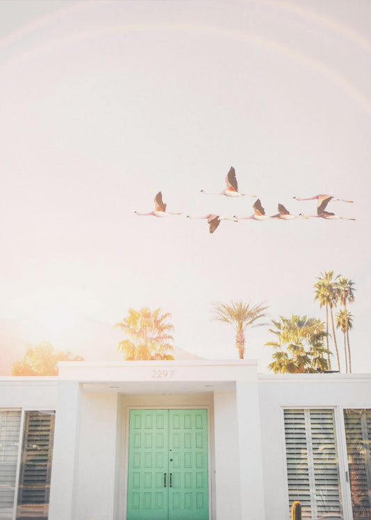 Flamingo's in Palm Springs | Canvas