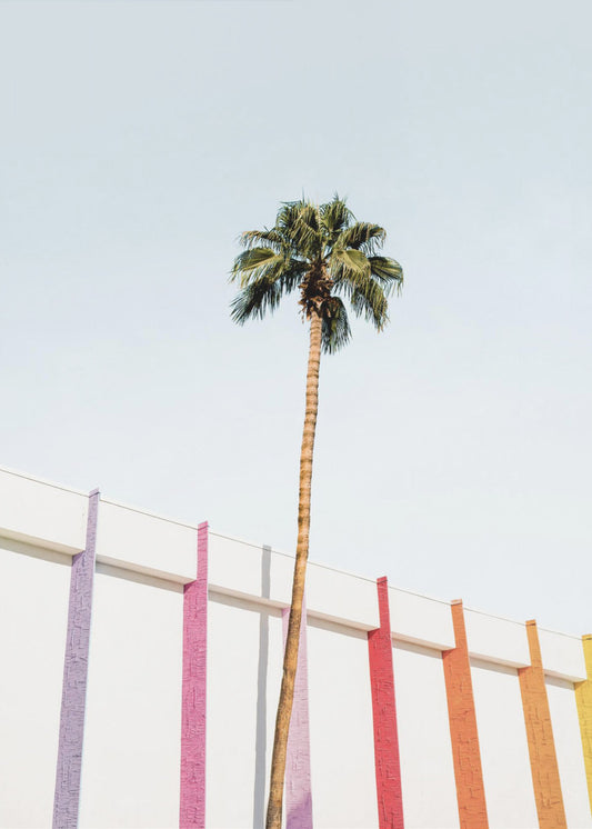 Palm Spring Kleuren 2 | Canvas