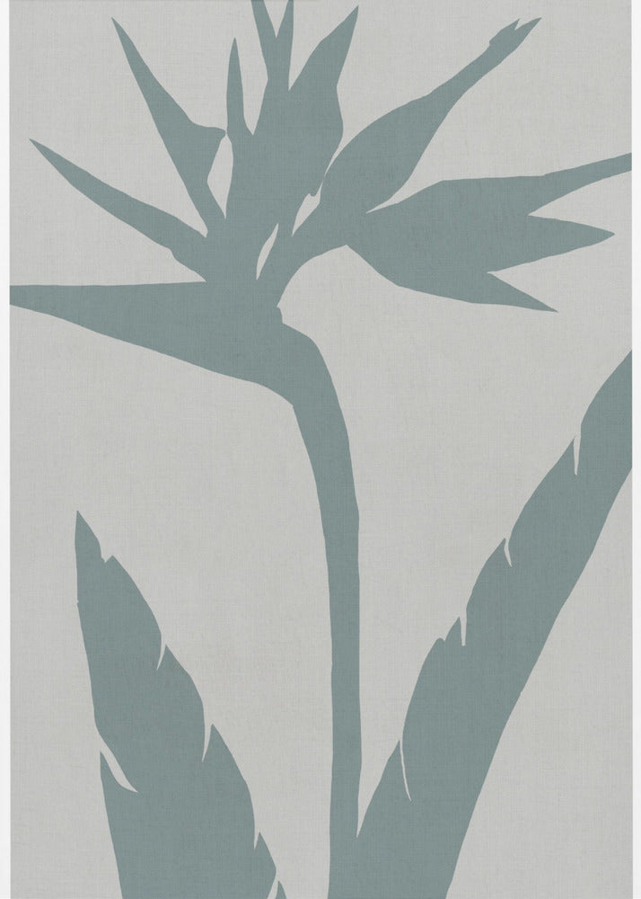 Paradijsvogel | Poster