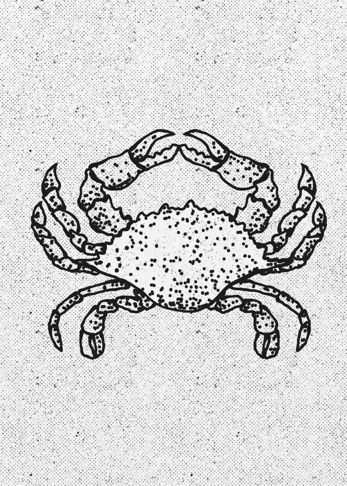 Zwart-witte krab | Canvas