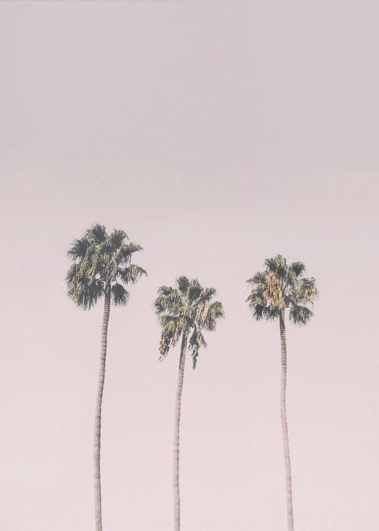 Palmen op roze | Canvas