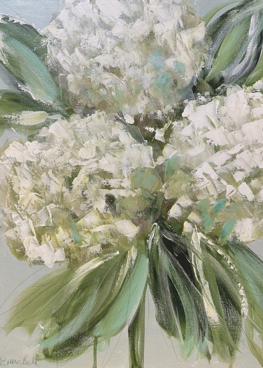 Witte hortensia's met weelderige groene bladeren | Canvas