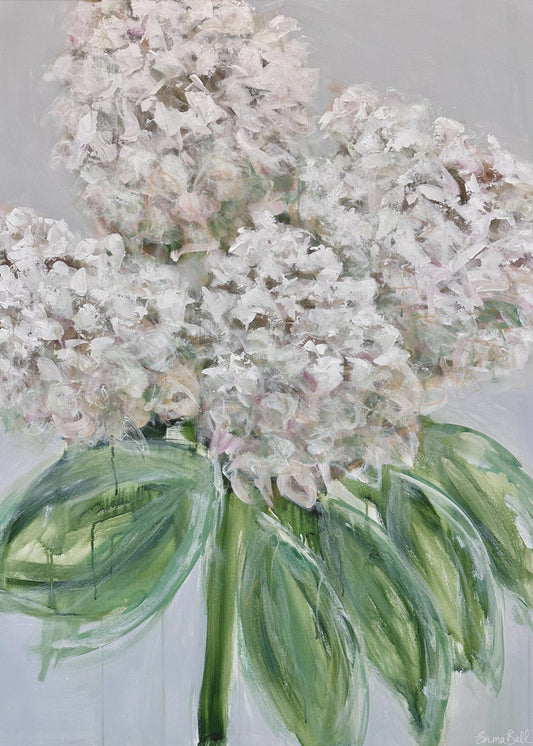 Witte hortensia bloei | Canvas