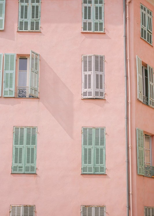 Roze Gebouw | Canvas