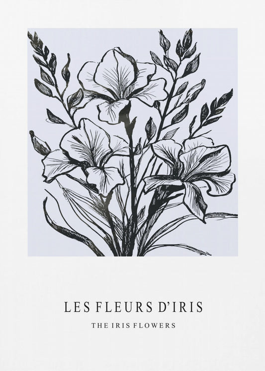Irisbloemen in een monochrome illustratie | Canvas