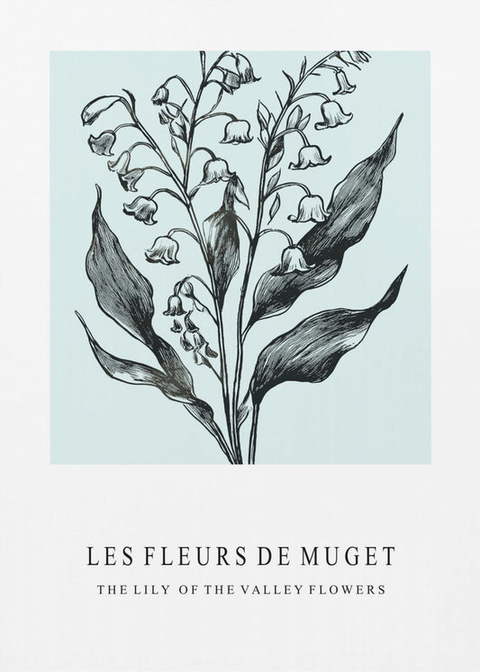 Lelietje-van-dalenbloemen in een monochrome illustratie | Canvas