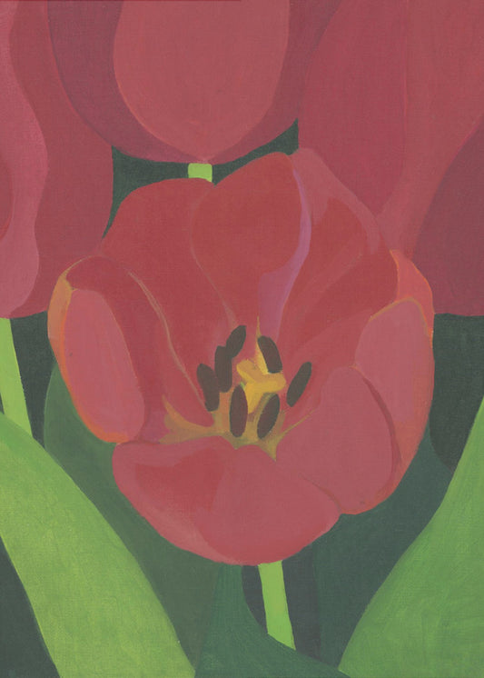 Licht Rood Tulpan | Canvas