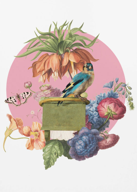Kleurrijke vogel op een doos | Canvas