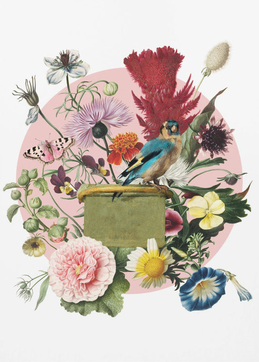 Kleurrijke vogel op een doos | Canvas