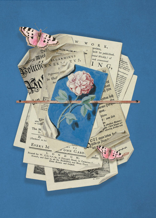 Roze roos omringd door vintage papier | Poster