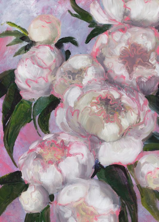 Witte pioenrozen met roze highlights | Canvas