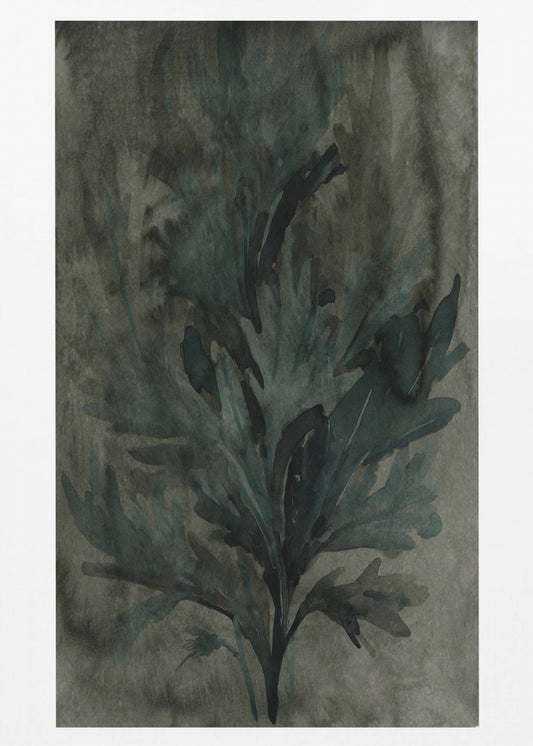 Diepwaterbloei 2 | Canvas