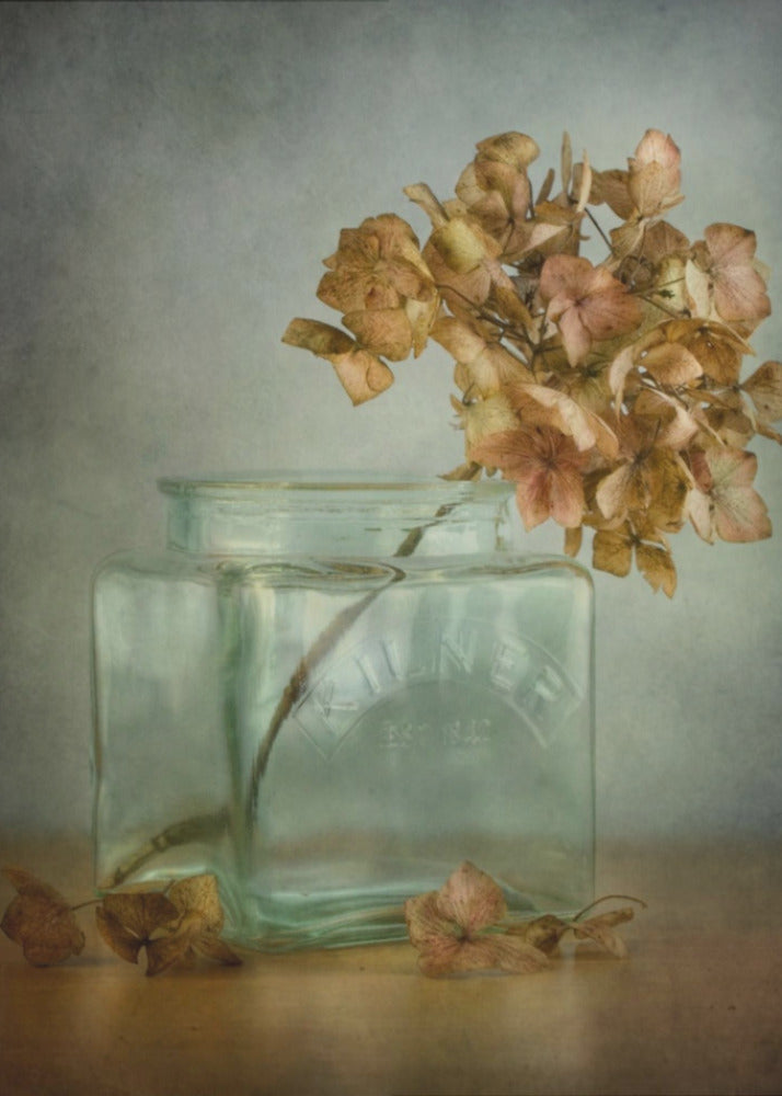 Hortensia | Canvas