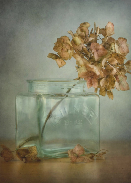 Hortensia | Canvas