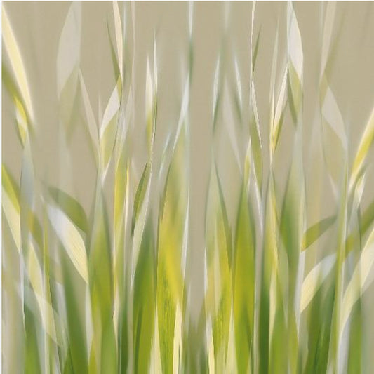Dansend riet | Canvas