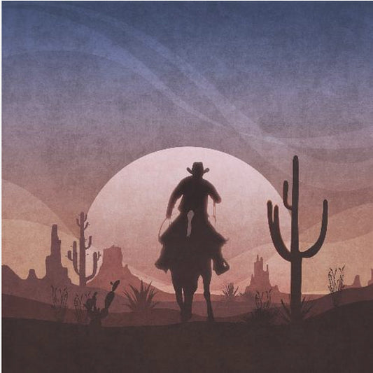 Woestijncowboy zonsondergang | Poster