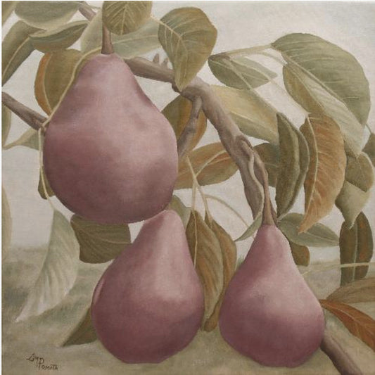 Max Red Bartlett Peren | Canvas