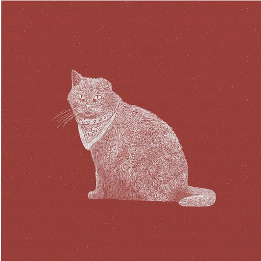 Stoere Banditkat | Canvas