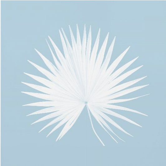 Tropisch Blauw 1 | Canvas
