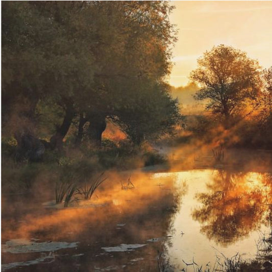 Als de natuur schildert met licht I | Canvas