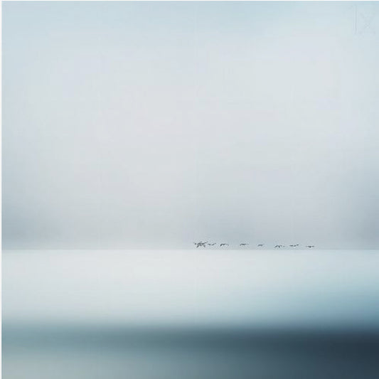 wilde ganzen | Canvas